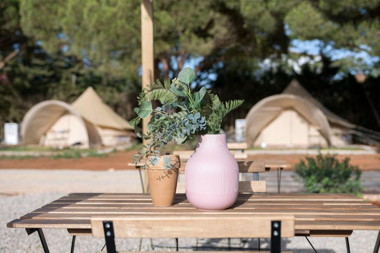 Glamping La Mimosa Conil Hotel Conil De La Frontera Exterior photo